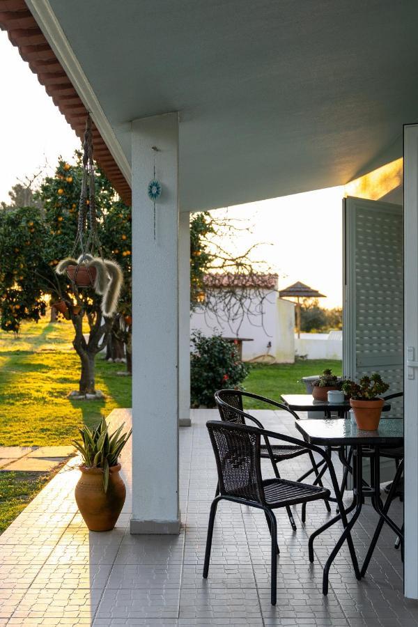 Na Quinta- alojamento rural com piscina de água salgada Poceirao Exterior foto