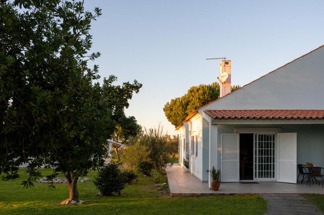 Na Quinta- alojamento rural com piscina de água salgada Poceirao Exterior foto