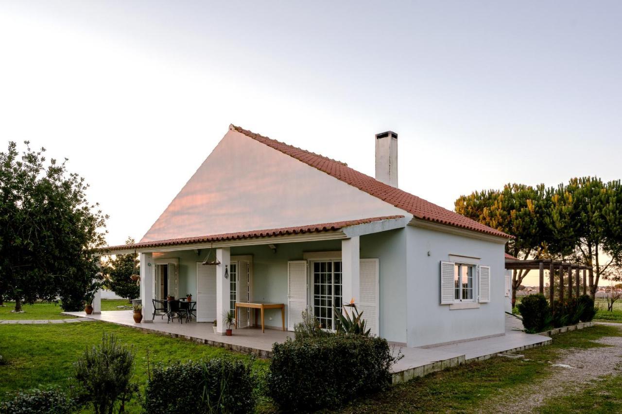 Na Quinta- alojamento rural com piscina de água salgada Poceirao Exterior foto