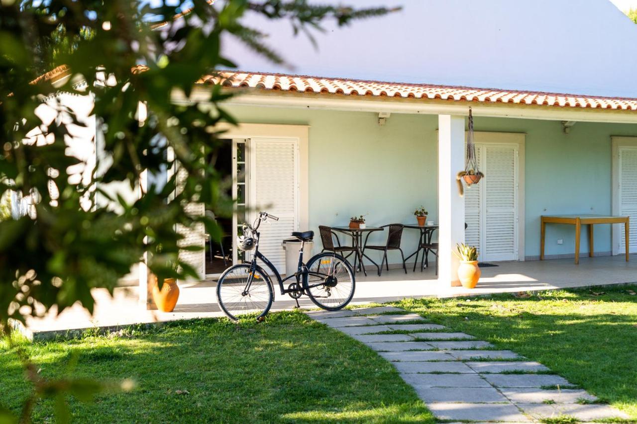 Na Quinta- alojamento rural com piscina de água salgada Poceirao Exterior foto