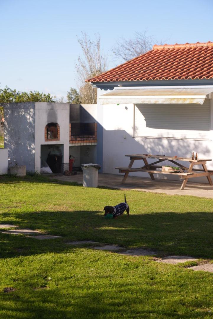 Na Quinta- alojamento rural com piscina de água salgada Poceirao Exterior foto